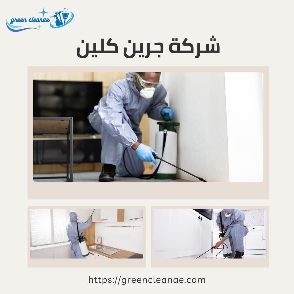 شركة مكافحة حشرات بالفجيرة