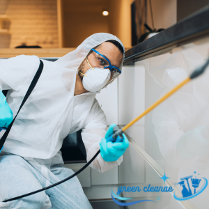 مكافحة الحشرات بالإمارات