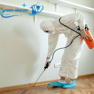 رش الحشرات المنزليه