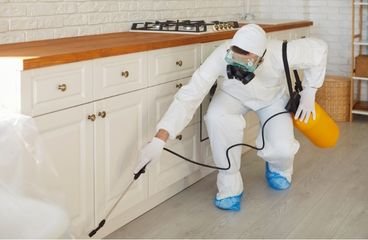 مكافحة الحشرات بالإمارات