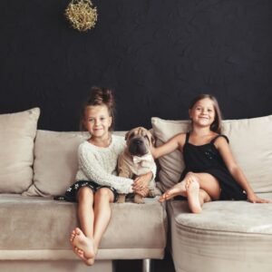 تنظيف سجاد آمن للأطفال والحيوانات الأليفة باستخدام مواد صديقة للبيئة